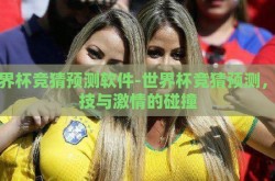 世界杯竞猜预测软件-世界杯竞猜预测，科技与激情的碰撞