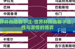 世界杯预选赛下注-世界杯预选赛下注，理性与激情的博弈
