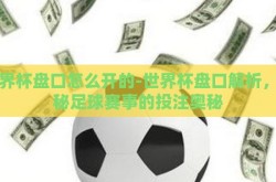世界杯盘口怎么开的-世界杯盘口解析，揭秘足球赛事的投注奥秘