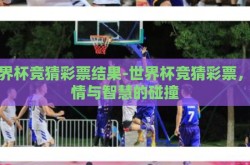 世界杯竞猜彩票结果-世界杯竞猜彩票，激情与智慧的碰撞