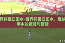 世界杯盘口回水-世界杯盘口回水，足球赛事中的策略与智慧