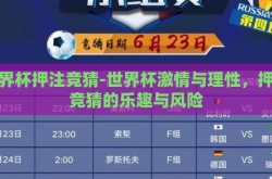世界杯押注竞猜-世界杯激情与理性，押注竞猜的乐趣与风险
