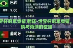 世界杯冠军竞猜 翻译-世界杯冠军竞猜，激情与预测的碰撞