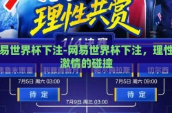 网易世界杯下注-网易世界杯下注，理性与激情的碰撞