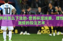 世界杯怎么下注的-世界杯足球赛，理性与激情的投注艺术