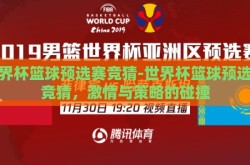 世界杯篮球预选赛竞猜-世界杯篮球预选赛竞猜，激情与策略的碰撞
