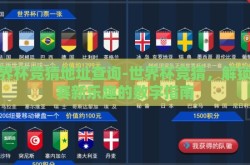 世界杯竞猜地址查询-世界杯竞猜，解锁观赛新乐趣的数字指南