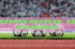 网易世界杯竞猜-网易世界杯竞猜，全民狂欢的足球盛宴新体验