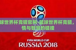 篮球世界杯竞猜官网-篮球世界杯竞猜，激情与智慧的碰撞