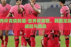 世界杯竞猜韩国-世界杯竞猜，韩国足球的崛起与挑战