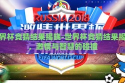 世界杯竞猜结果揭晓-世界杯竞猜结果揭晓，激情与智慧的碰撞