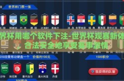 世界杯用哪个软件下注-世界杯观赛新体验，合法安全地享受赛事激情