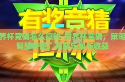 世界杯竞猜怎么赢钱-世界杯竞猜，策略与智慧并重，赢取乐趣与收益