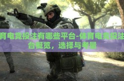 体育电竞投注有哪些平台-体育电竞投注平台概览，选择与考量