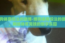 博狗体育投注的微博-博狗体育投注的微博，网络体育竞技的数字乐园