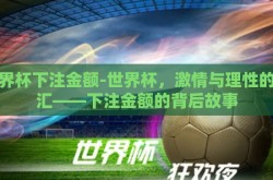 世界杯下注金额-世界杯，激情与理性的交汇——下注金额的背后故事