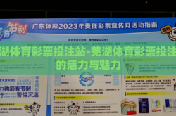 芜湖体育彩票投注站-芜湖体育彩票投注站的活力与魅力
