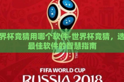 世界杯竞猜用哪个软件-世界杯竞猜，选择最佳软件的智慧指南