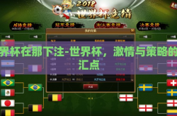 世界杯在那下注-世界杯，激情与策略的交汇点
