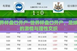 世界杯盘口开户-世界杯盘口开户，足球迷的激情与理性交织