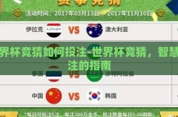 世界杯竞猜如何投注-世界杯竞猜，智慧投注的指南
