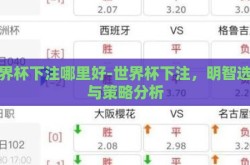 世界杯下注哪里好-世界杯下注，明智选择与策略分析