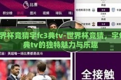 世界杯竞猜宇fc3典tv-世界杯竞猜，宇fc3典tv的独特魅力与乐趣