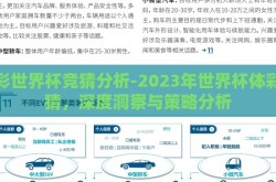 体彩世界杯竞猜分析-2023年世界杯体彩竞猜，深度洞察与策略分析