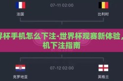世界杯手机怎么下注-世界杯观赛新体验，手机下注指南
