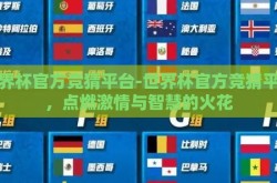 世界杯官方竞猜平台-世界杯官方竞猜平台，点燃激情与智慧的火花
