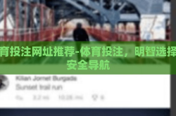 体育投注网址推荐-体育投注，明智选择与安全导航