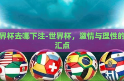世界杯去哪下注-世界杯，激情与理性的交汇点