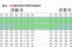 体育彩票投注站利润-体育彩票投注站利润的深度剖析与策略探讨