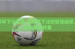 世界杯下注在哪-世界杯下注的智慧选择，安全与策略并重