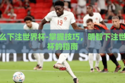 怎么下注世界杯-掌握技巧，明智下注世界杯的指南