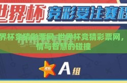 世界杯竞猜彩票网-世界杯竞猜彩票网，激情与智慧的碰撞