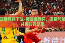 男篮世界杯下注-男篮世界杯，激情与策略并存的竞技场