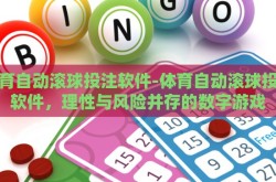 体育自动滚球投注软件-体育自动滚球投注软件，理性与风险并存的数字游戏