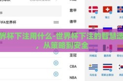 世界杯下注用什么-世界杯下注的智慧选择，从策略到安全