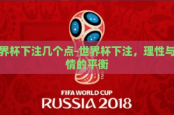 世界杯下注几个点-世界杯下注，理性与激情的平衡