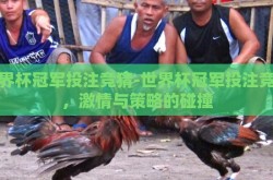世界杯冠军投注竞猜-世界杯冠军投注竞猜，激情与策略的碰撞