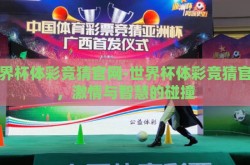 世界杯体彩竞猜官网-世界杯体彩竞猜官网，激情与智慧的碰撞