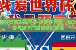世界杯竞猜去哪里买-世界杯竞猜，线上平台与线下门店的精彩选择