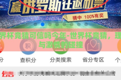 世界杯竞猜可信吗今年-世界杯竞猜，理性与激情的碰撞