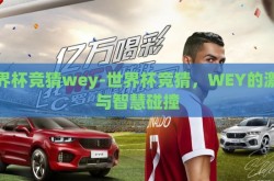 世界杯竞猜wey-世界杯竞猜，WEY的激情与智慧碰撞