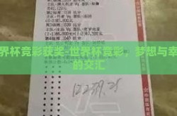 世界杯竞彩获奖-世界杯竞彩，梦想与幸运的交汇
