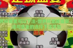 世界杯哪里可以下注-世界杯足球盛宴，合法与安全的选择下注平台