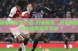万博体育投注介绍-万博体育，打造卓越的在线体育娱乐平台