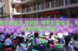 体育彩票投注 号码贴-体育彩票投注，号码贴的智慧与乐趣