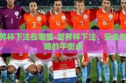 世界杯下注在哪里-世界杯下注，安全与策略的平衡点